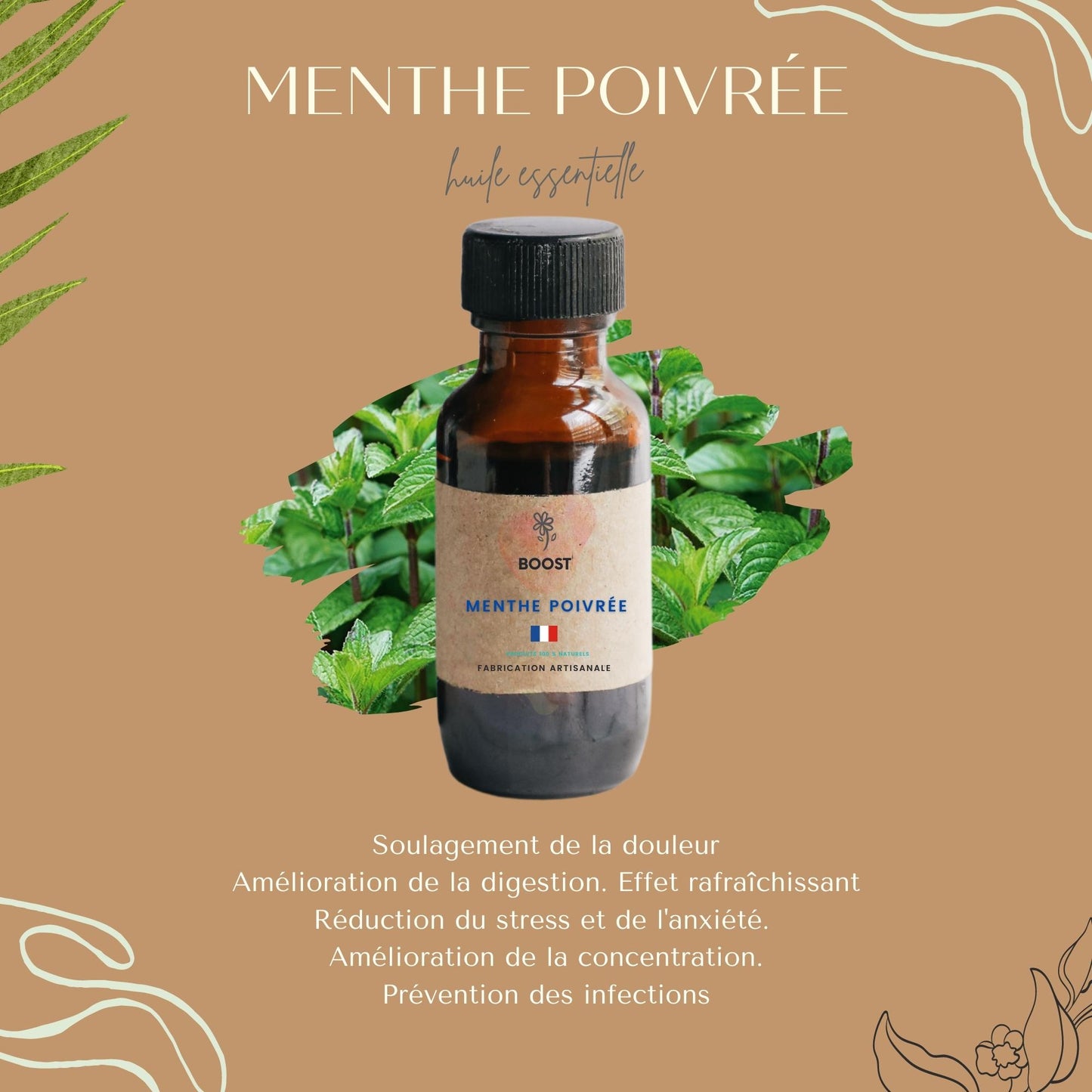 Huile Essentielle de Menthe Poivrée