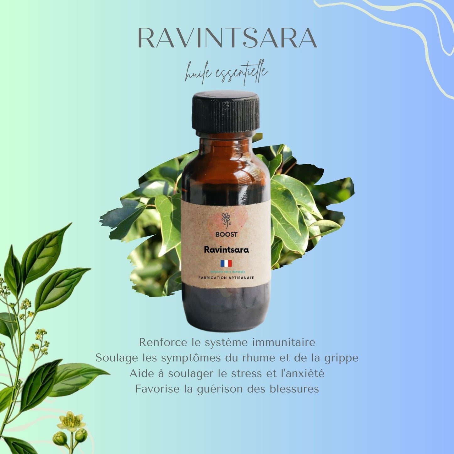 Huile Essentielle de Ravinstara