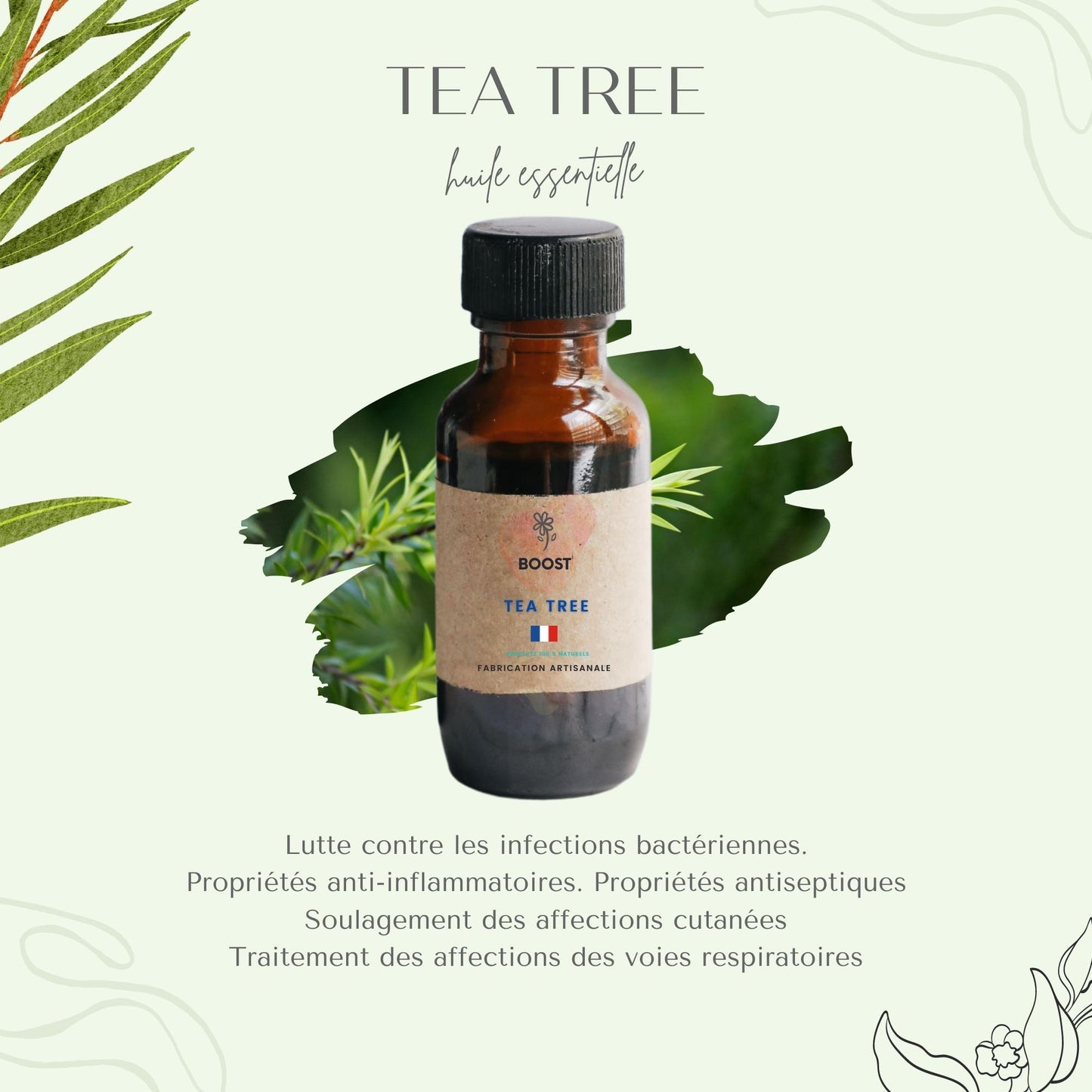 Huile Essentielle Tea tree