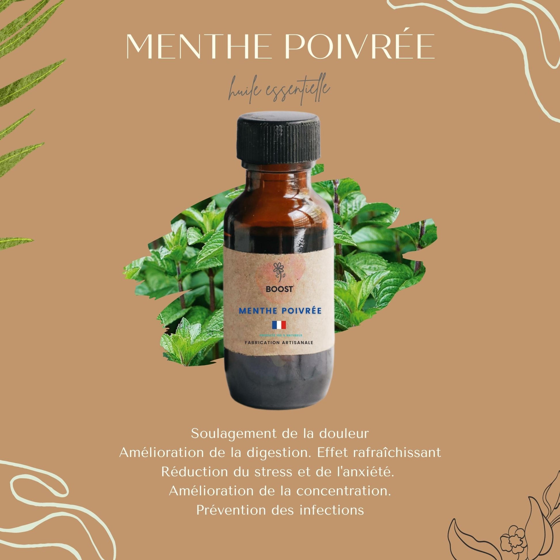Huile essentielle de Menthe poivrée Fabriquée à France – Cheveux Boost